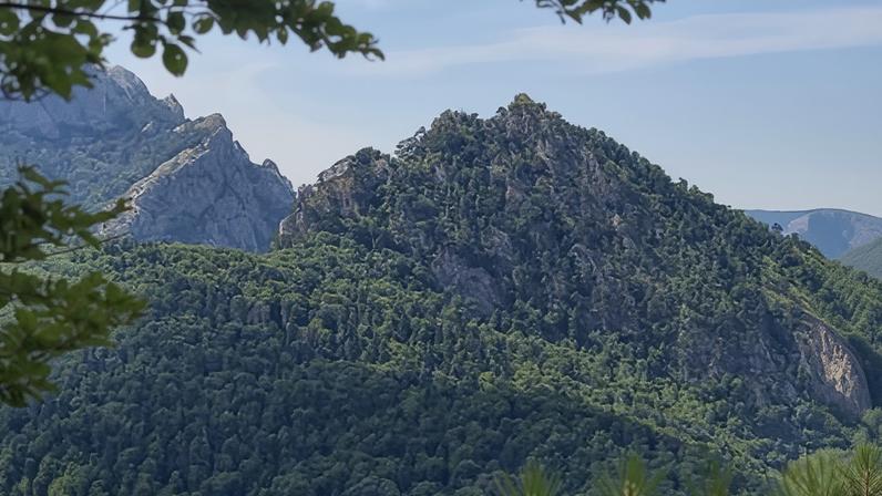 The forest of Perućica, south-east Bosnia, has grown without human interference for an estimated 20,000 years.