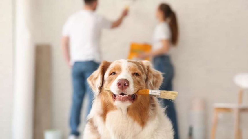 Ajustes simples no quarto podem melhorar o sono e aumentar a sensação de bem