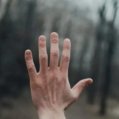 Mãos humanas: engenharia biológica avança e mistérios começam a ser esclarecidos