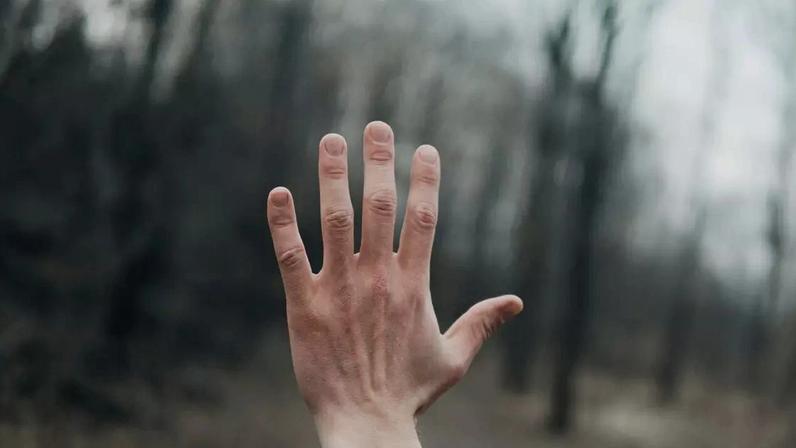 Imagem | Andrik Langfield (Unsplash)