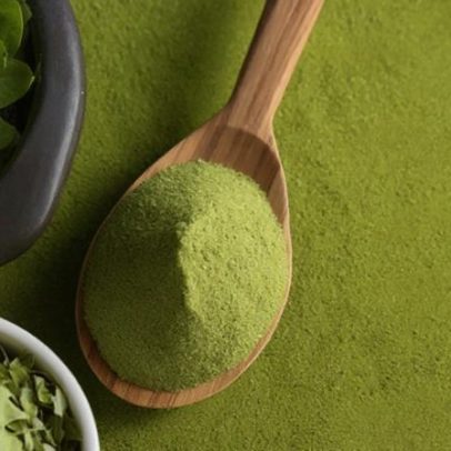 Moringa oleifera: benefícios e suspensão pela Anvisa no Brasil