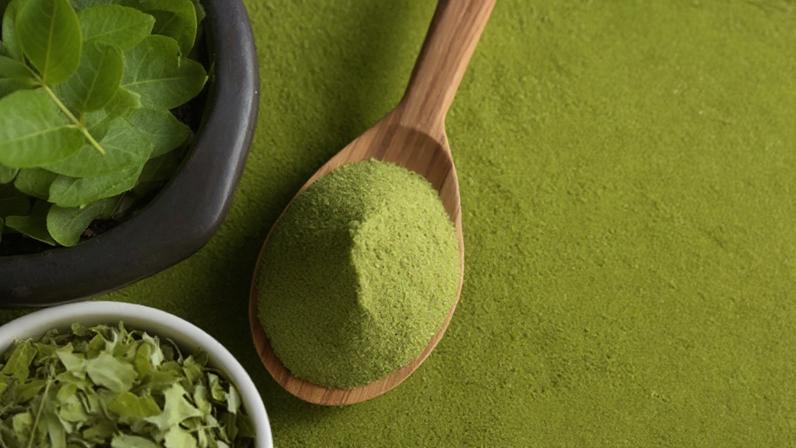 Moringa oleifera: benefícios e suspensão pela Anvisa no Brasil