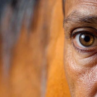 Cavalos e emoções humanas: ciência da leitura de expressões e conexão entre espécies
