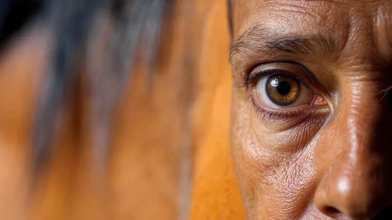 A comunicação entre humanos e cavalos vai além da voz: postura, respiração e microexpressões faciais também influenciam o comportamento dos equinos – depositphotos.com / Alexia Bragina