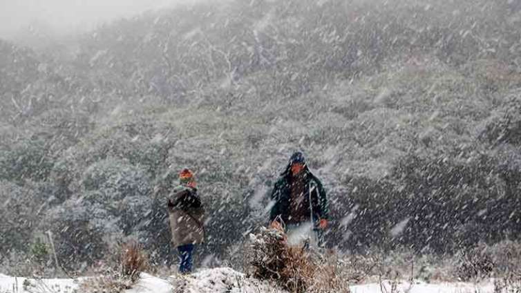 Cidade turística por causa das baixas temperaturas e localizada a cerca de 212 km de Florianópolis, Urupema recebeu, em 2021, o título de Capital Nacional do Frio.