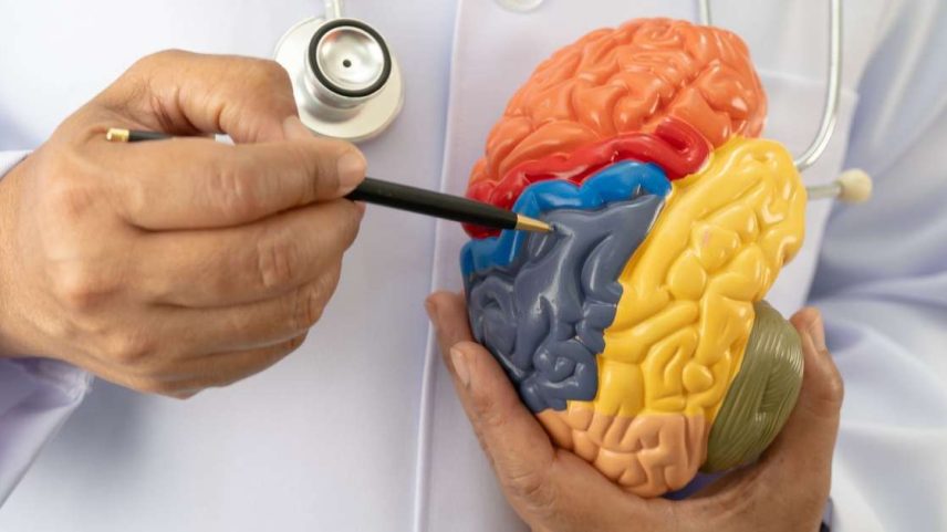 Segundo especialistas, o hábito, quando frequente, indica o declínio cognitivo causado por demência, como o Alzheimer