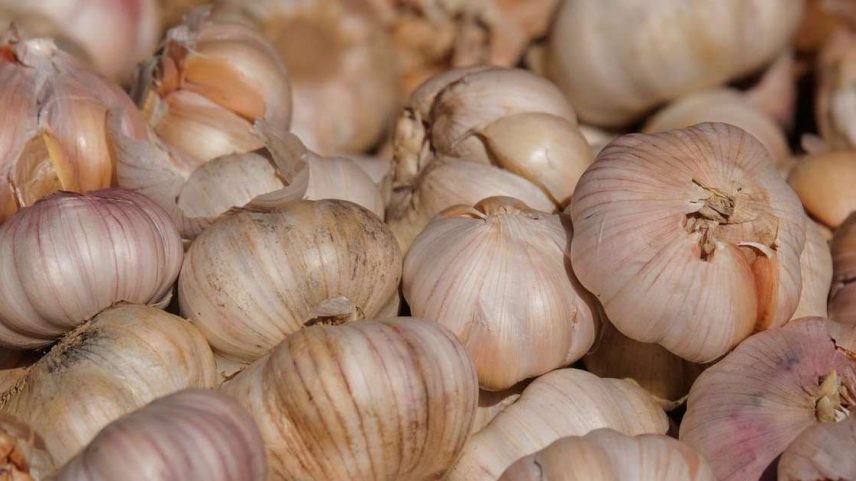 Anvisa divulgou quais alimentos apresentam maior e menor presença de resíduos de agrotóxicos no Brasil