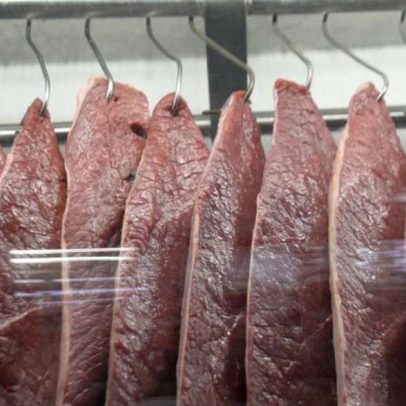 UE proíbe importações de carne e animais do Brasil