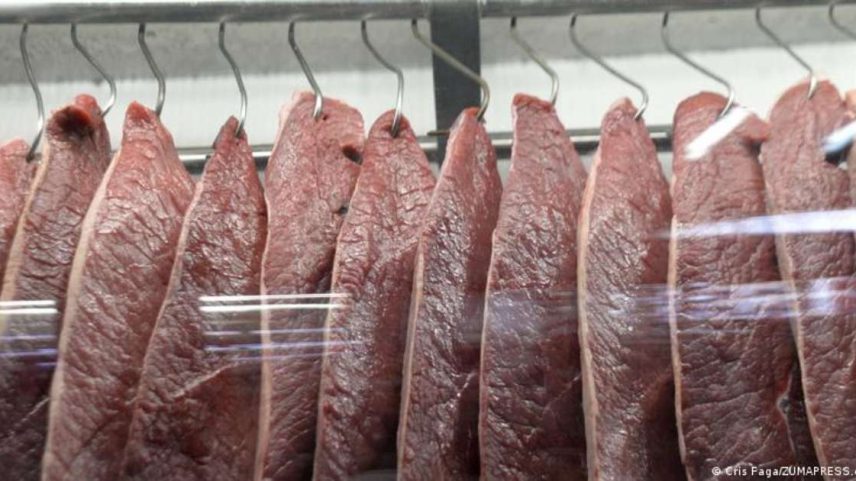 Carne brasileira deve comprir regras aplicadas a produtores europeus