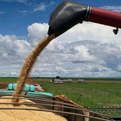 PIB do agronegócio avança 0,7% no 1º trimestre de 2025 com safra recorde