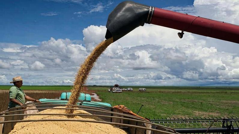 Ceifeira faz a colheita de soja em Campo Novo do Parecis (MT), cidade a 400 km de Cuiabá