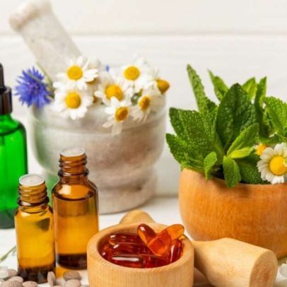 Plantas medicinais e fitoterápicos promovem benefícios à saúde