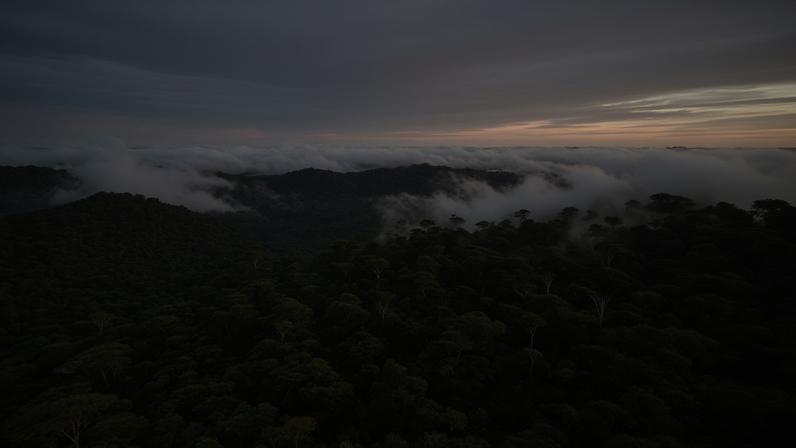Floresta Nacional do Jamanxim, criada em 2006, no governo Lula