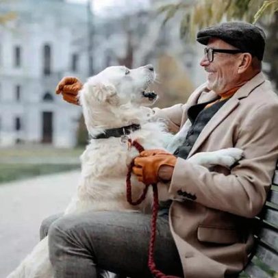 Companheiros de quatro patas ajudam a melhorar a saúde de idosos no Brasil