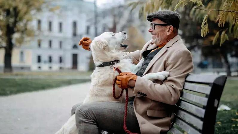 Veterinária explica como os animais de estimação melhoram a saúde física e mental dos idosos e ensina a escolher o pet ideal