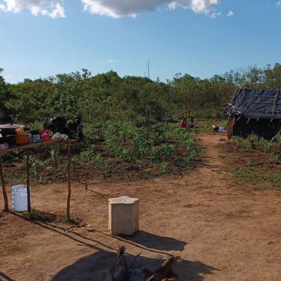 Tekoa Karandaty preserva mais de 300 ha de mata nativa em Cachoeirinha