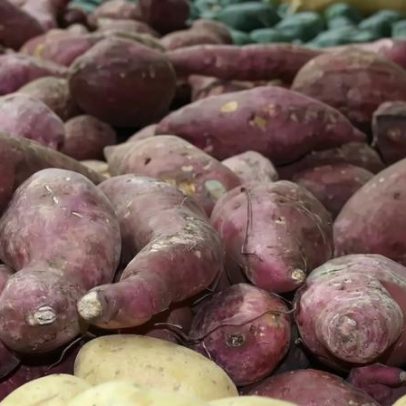 Batata-doce agrega nutrientes e usos variados além das receitas tradicionais