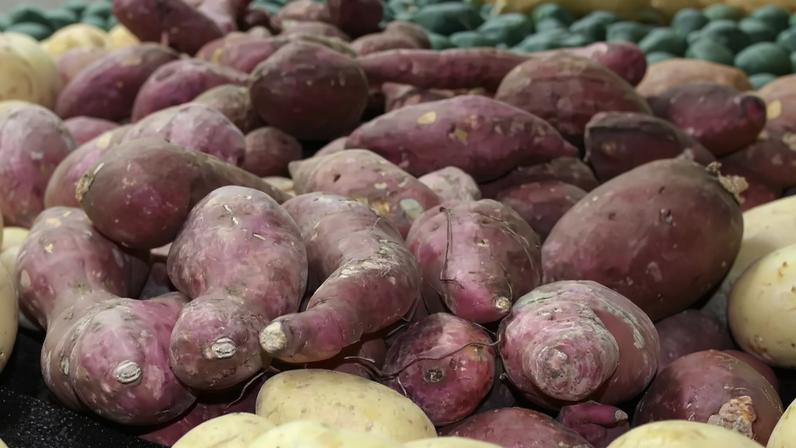 Batata-doce agrega nutrientes e usos variados além das receitas tradicionais