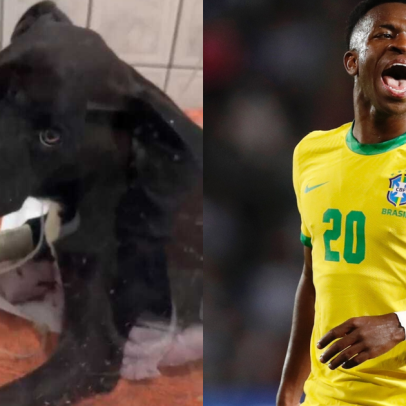 Vini Jr. luta pela vida após atropelamento e recebe apoio