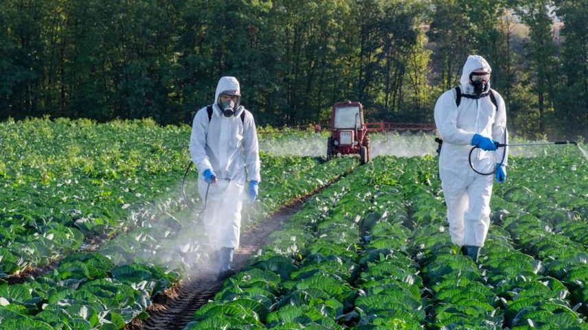 Pesquisas recentes chamam atenção para um detalhe pouco conhecido: a mesma bactéria que contribui para esse aroma característico também pode produzir toxinas com potencial uso como inseticidas biológicos – depositphotos.com / Natty88