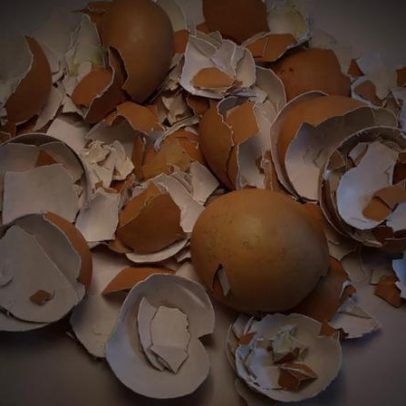 Cascas de ovo: formas práticas de reaproveitar na jardinagem e no dia a dia