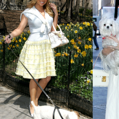 Mariah Carey gasta cerca de R$ 437 mil em férias luxuosas para 8 cachorros