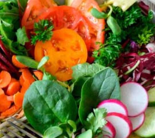 Dicas para incluir vegetais nutritivos e baixos em calorias na dieta