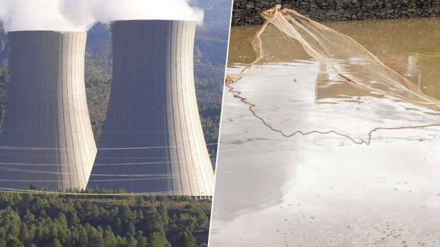 Imagens | Esin Üstün, RobertoUderio