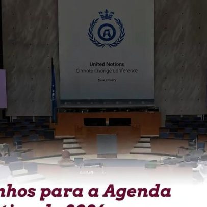 LACLIMA discute negociações climáticas para COP31