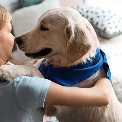 Adoção responsável de pets fortalece vínculos e saúde mental