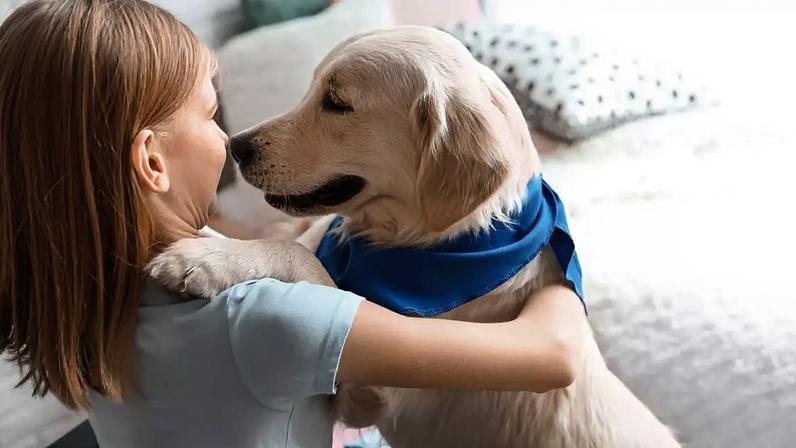 Adoção responsável de pets fortalece vínculos e saúde mental