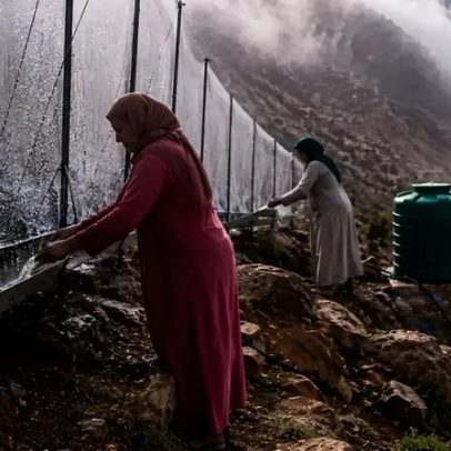 Mulheres no Marrocos sobem montanhas para converter neblina em água potável