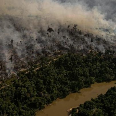 Dizemos não à destruição: defesa da preservação de recursos