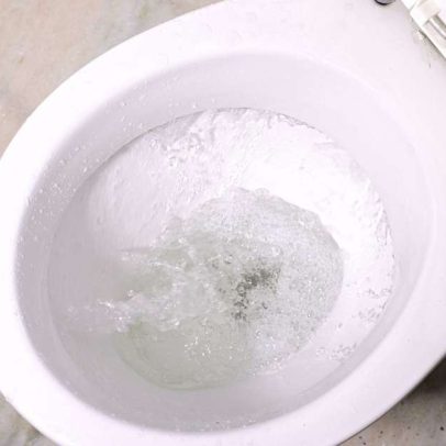 Gelo no vaso sanitário: entenda a tendência e se funciona