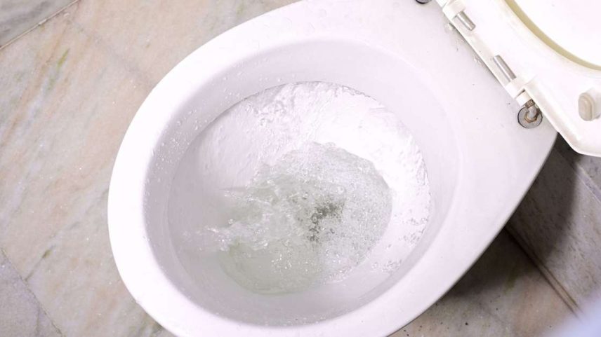Nas redes sociais, o gelo no vaso sanitário viralizou como uma forma de garantir a manutenção do banheiro entre as limpezas mais pesadas