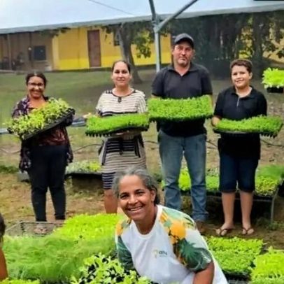 Mulheres recuperam nascentes, fortalecem produção de alimentos no Cerrado