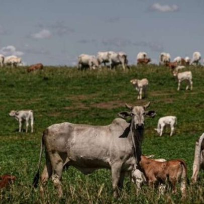 União Europeia veta carne brasileira, mas busca diálogo