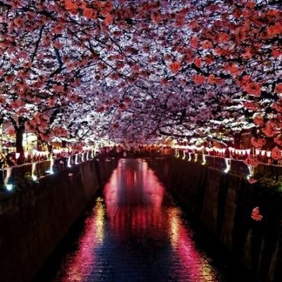 Japão é eleito melhor destino oriental e viagem dos sonhos em SP