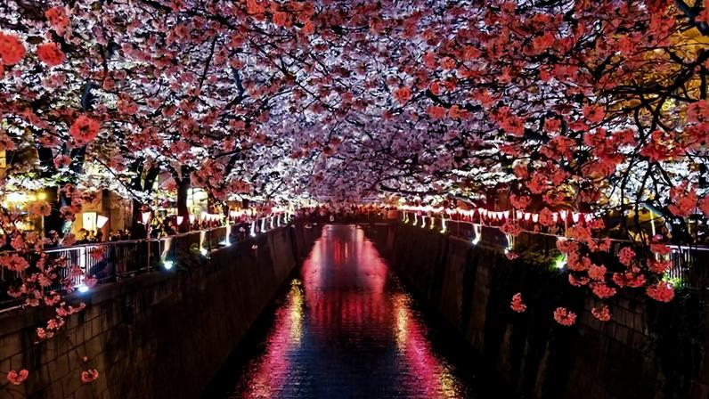 Japão vence como melhor destino oriental e viagem dos sonhos em São Paulo