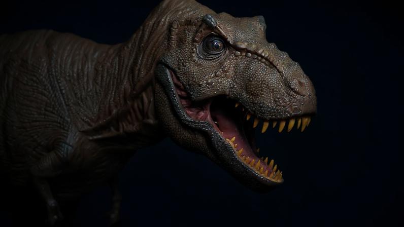 Imagem ilustrativa mostra a parte frontal de um dinossauro T. rex com uma mandíbula grande e aberta e braços pequenos.