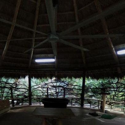 Zoo de Miami, de ex-patrão do tráfico, sofre violações de bem-estar animal