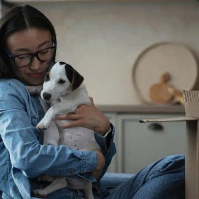 Como preparar a casa e a rotina ao adotar um animal de estimação