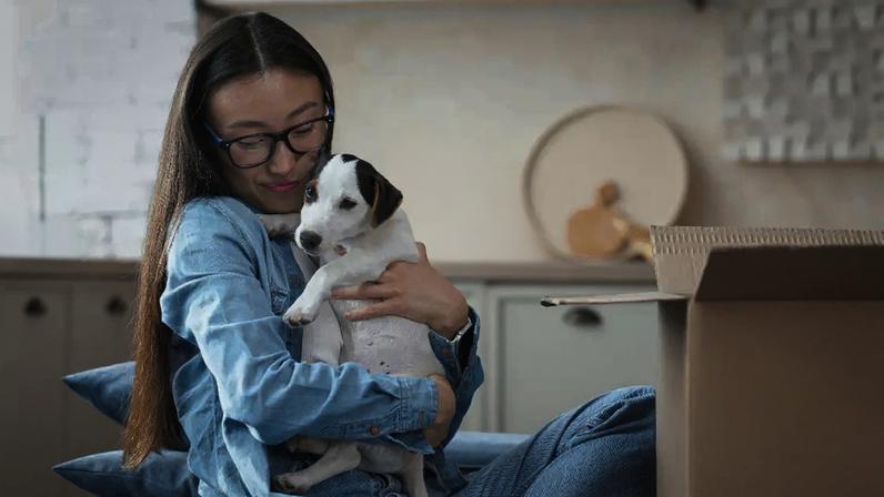 A chegada de um pet adotado pede adaptação, paciência e novos hábitos na rotina