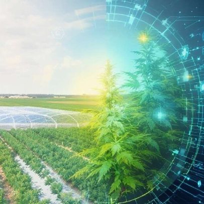 China revela megainfraestrutura para cultivo de comida fresca e barata