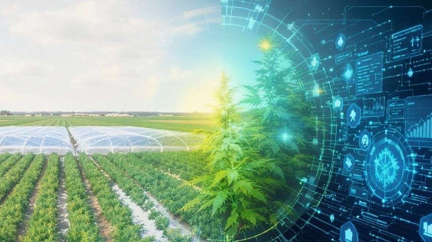 China E Agricultura