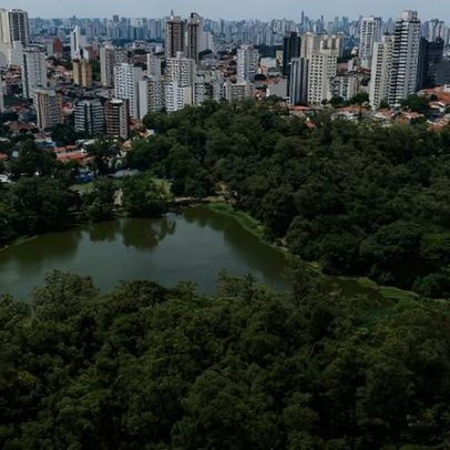 Associações acionam a Promotoria para barrar polos gastronômicos em parques de SP