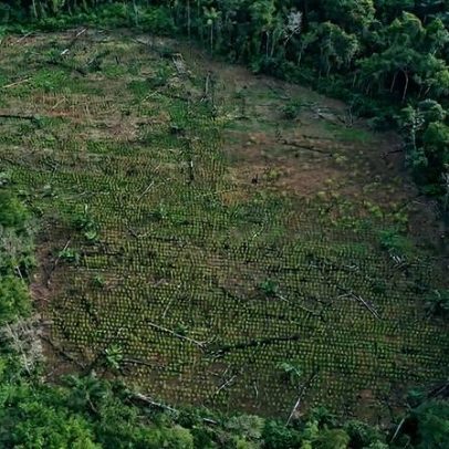 Dissidentes das Farc provocam dezenas de mortos na Colômbia antes das eleições