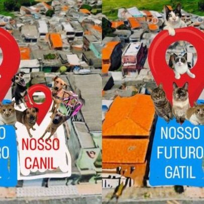 Casa do Vira-Lata une esforços para salvar mais de 90 vidas