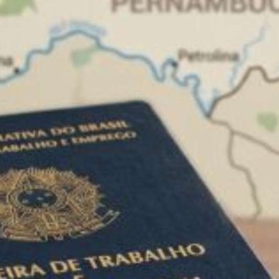 Sedepe oferece mais de 700 vagas com salários até R$ 5 mil
