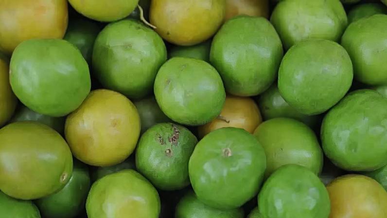 Umbu se destaca pelos nutrientes e sabor do sertão